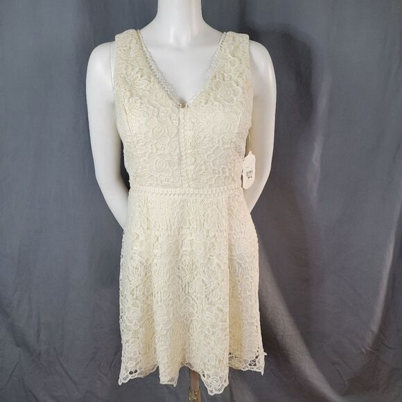 Altar'd State Lace Crochet Overlay Sleeveless V-Neck Zip Back Creme Dress Sz M‎ - Picture 1 of 8